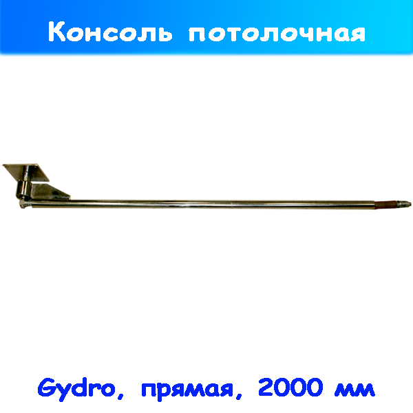 Консоль нержавеющая прямая потолочная Profi 2 м