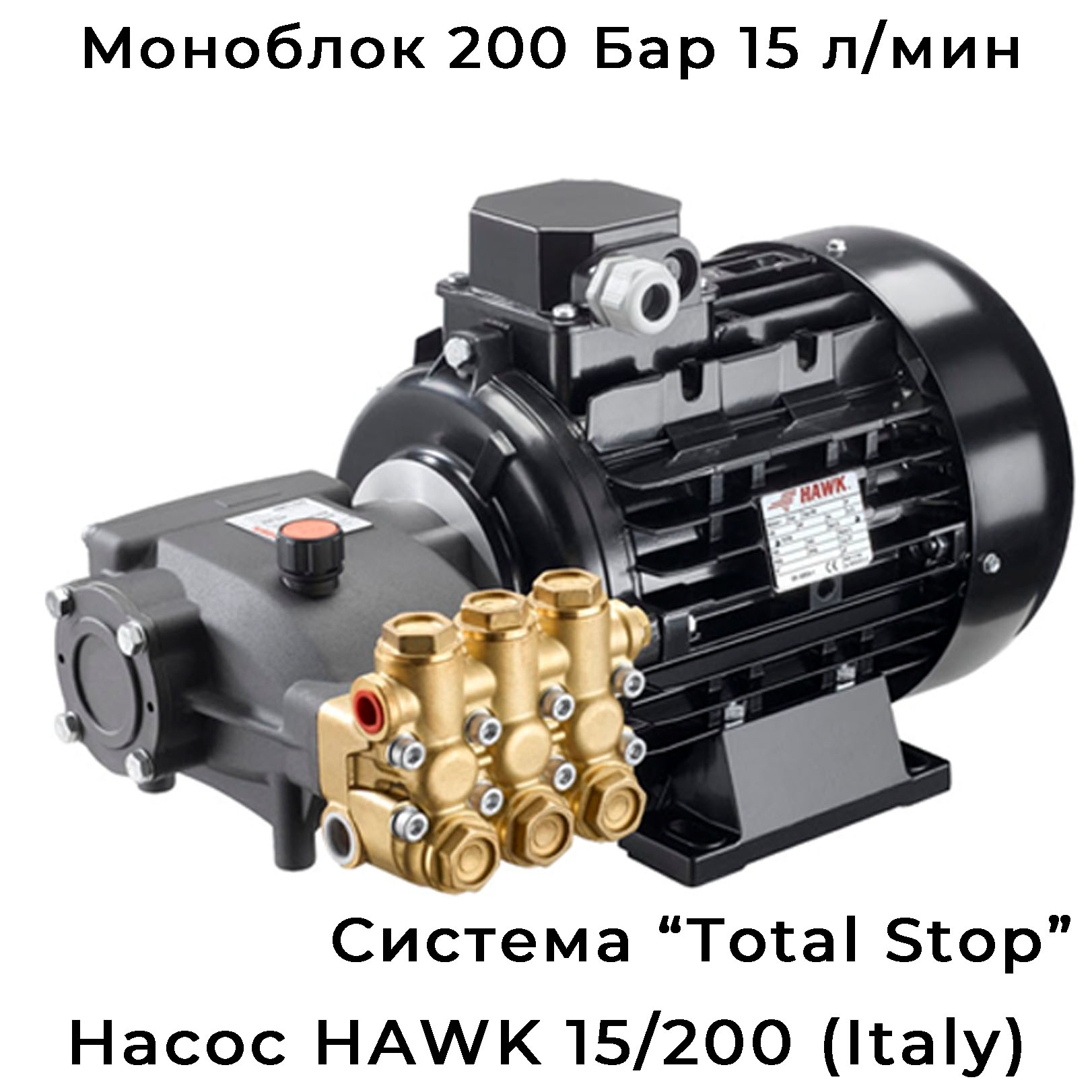 Моноблок АВД помпа с двигателем hawk (оригинал) на 200 Бар система TS