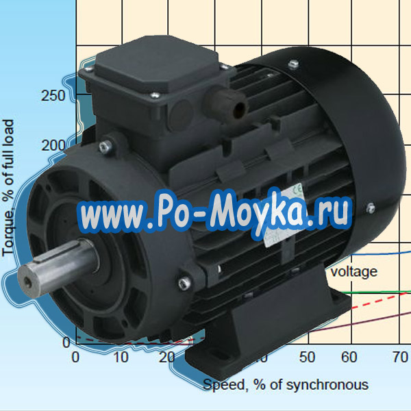 электродвигатель для автомойки от RAVEL Nicolini Electrics Motors Europe купить